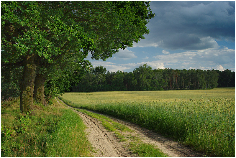 Wyciążkowo