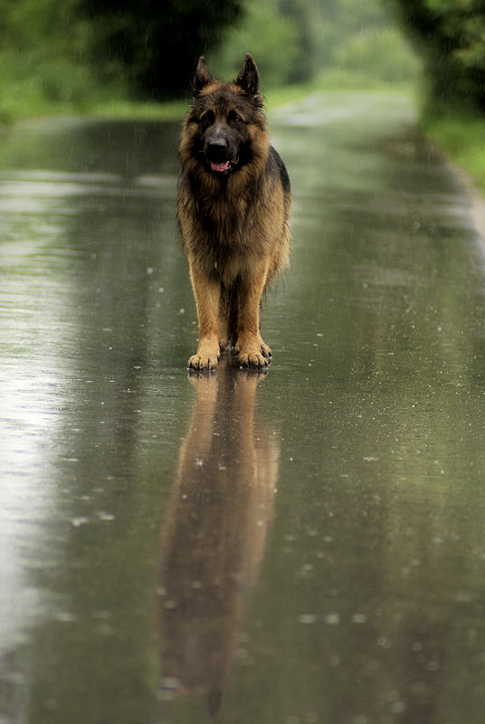 walking in the rain