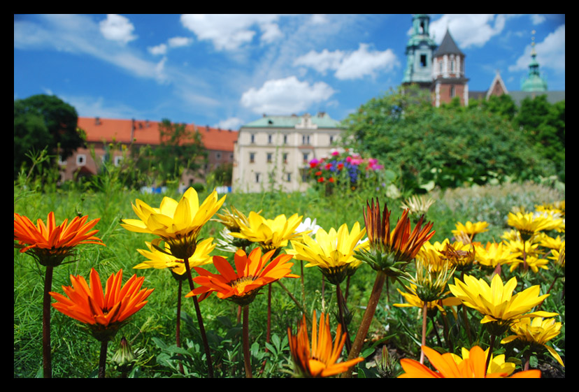 Kraków...