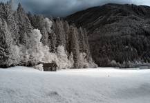 Alpejska polana .