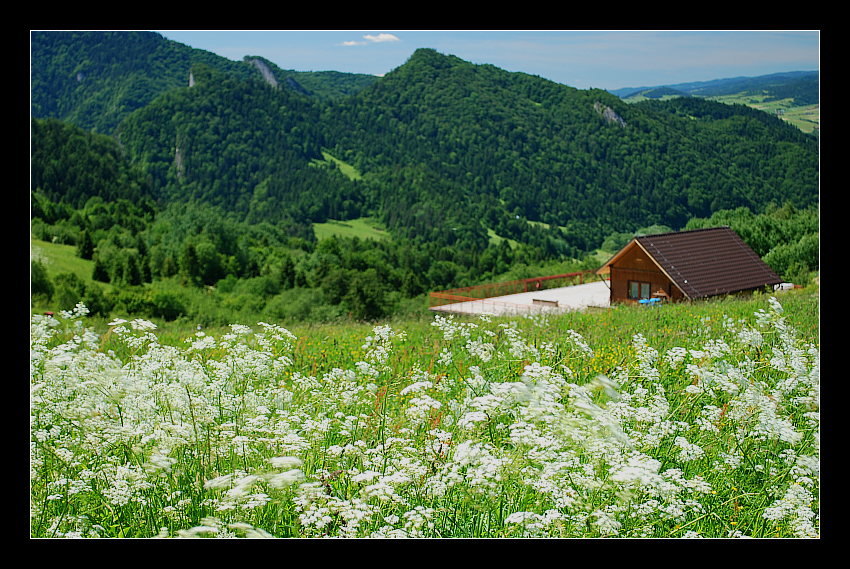 Dobre bo Polskie