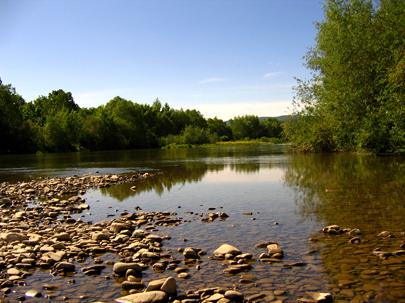 spokój nad wodą ...