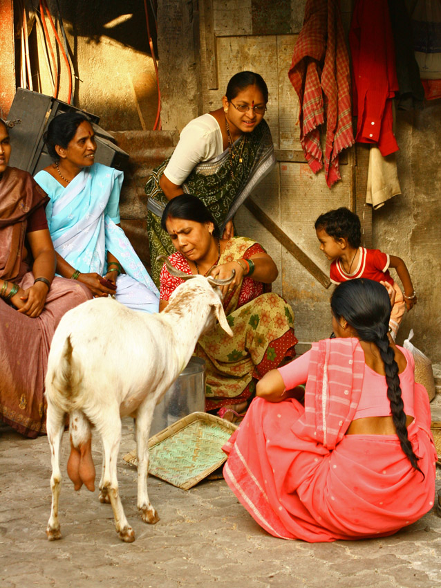 Bombay India,