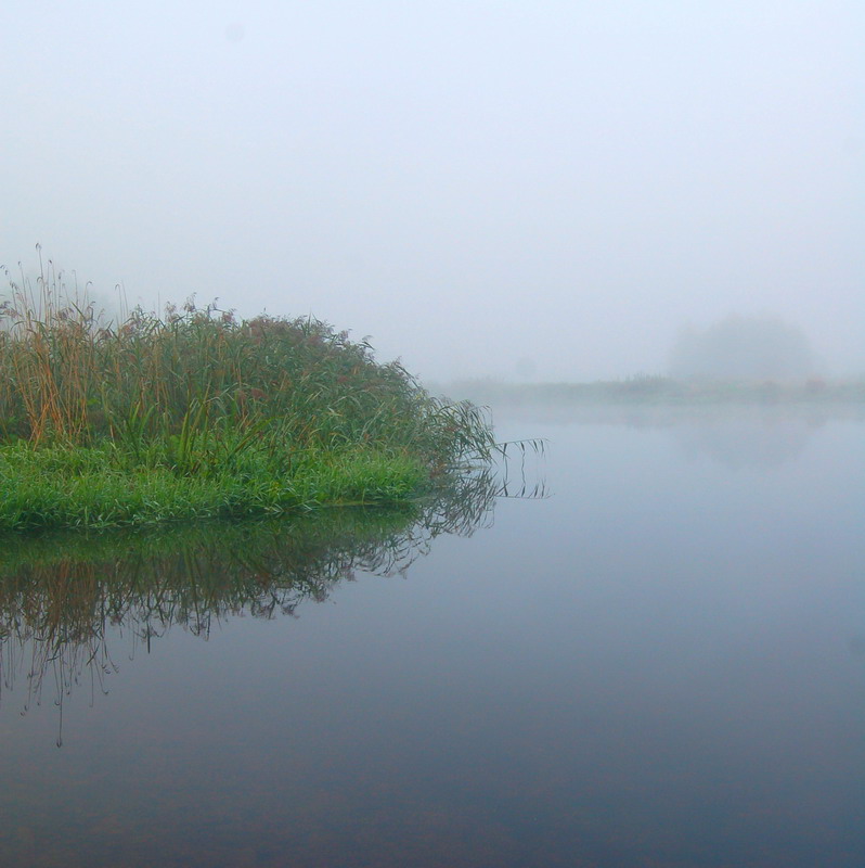 Poranek nad rzeką Supraśl