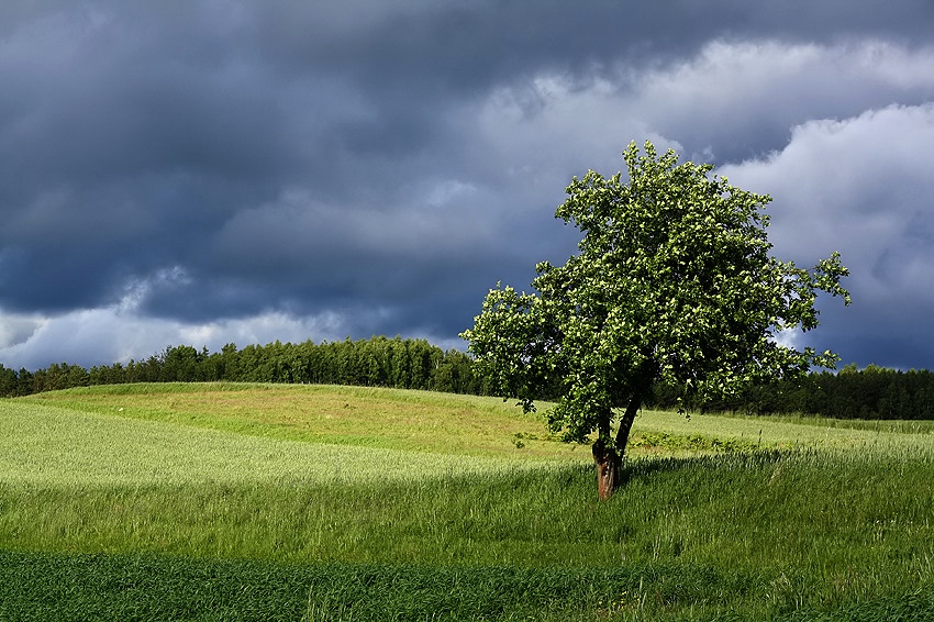 trochę zielonego+trochę niebieskiego=KASZUBY