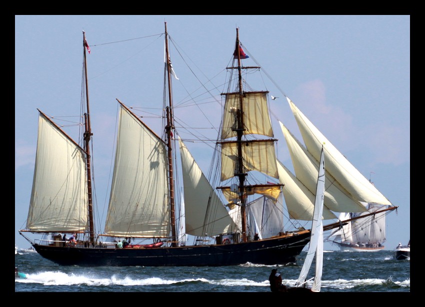 The Tall Ships Races 2009 Gdynia