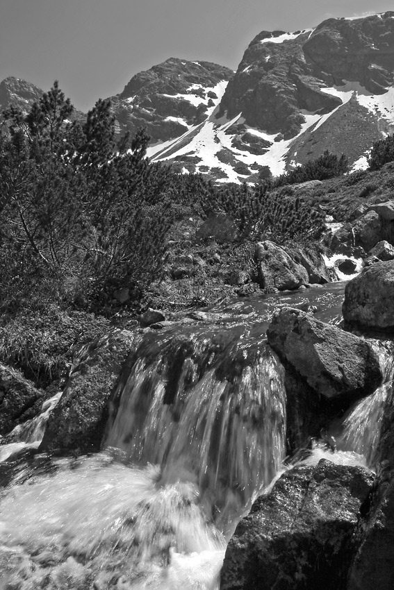 Tatry