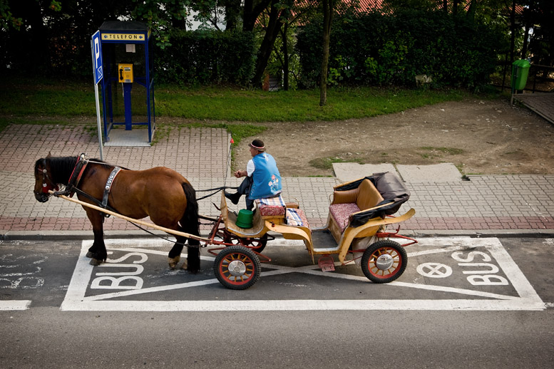 SZCZAWNICA BUS