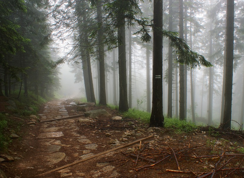 moje mgliste Karkonosze