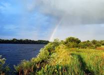 narew