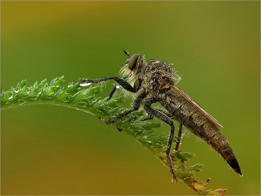 Na równi pochyłej