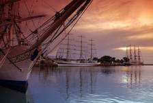 Tall Ships Gdynia