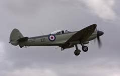 Seafire