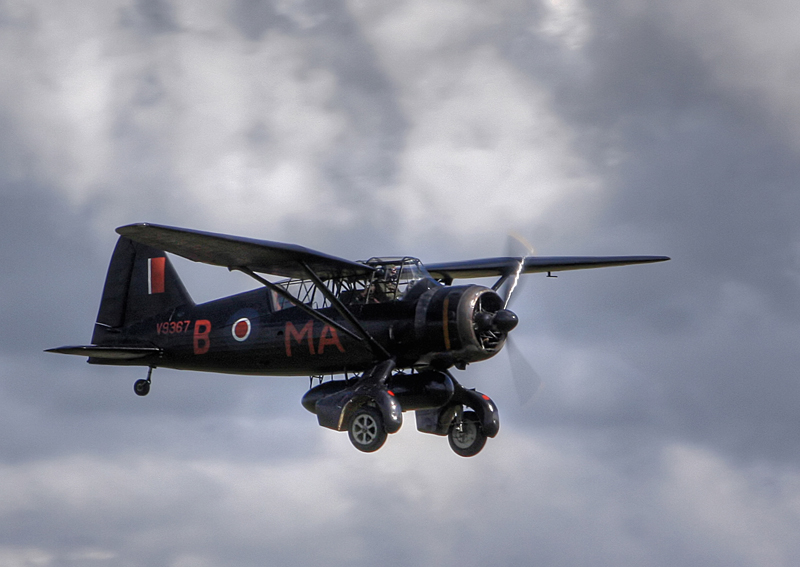 Westland Lysander