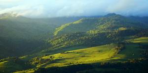 Pieniny