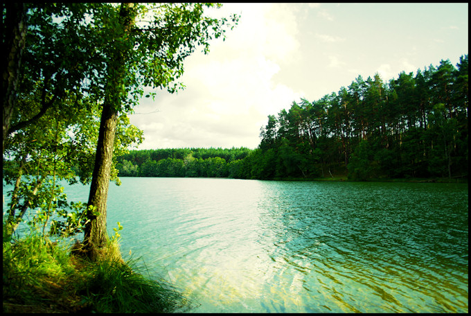 Park Narodowy Bory Tucholskie