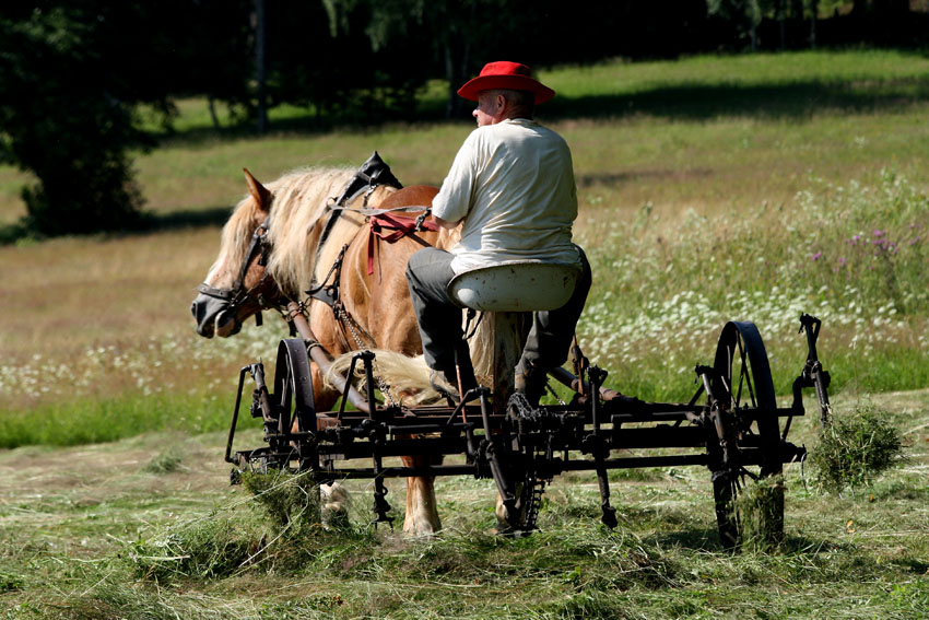 Pan Staszek...