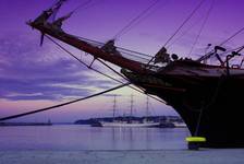 Tall Ships -Gdynia