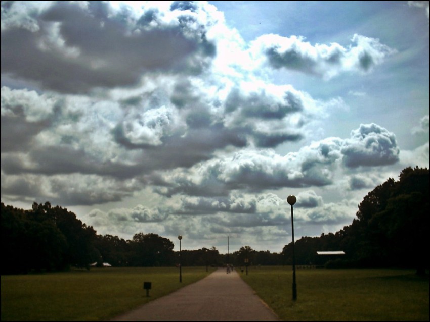 świerklaniec park