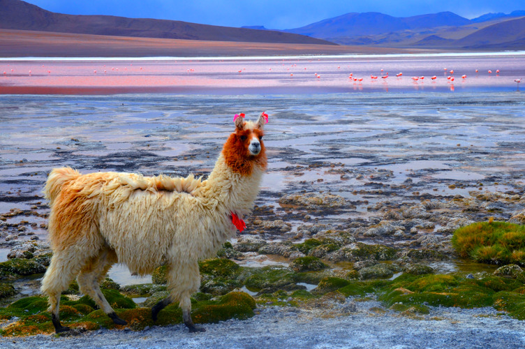 lago rojo