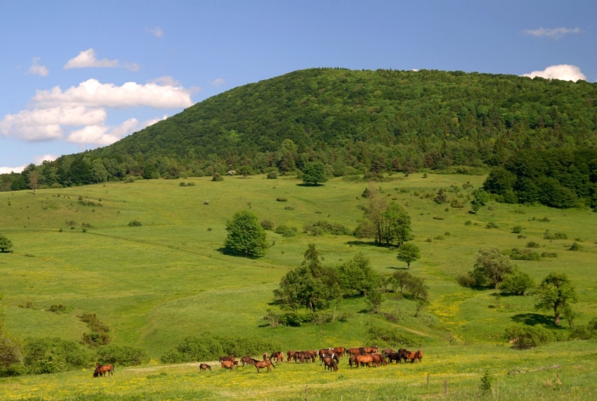 REGETÓW WYŻNY (Beskid Niski)