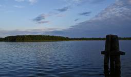 MAZURY -Nowa Kaletka