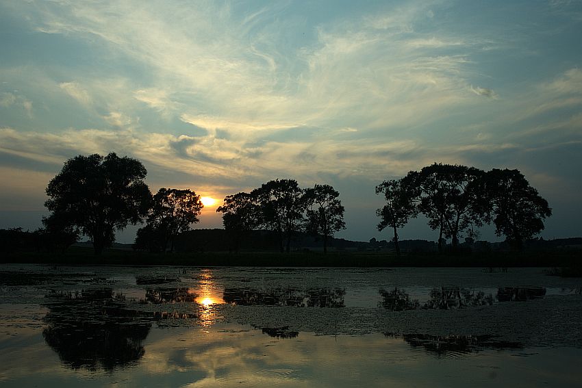 Zmrok na Podlasiu II