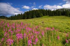 tatry