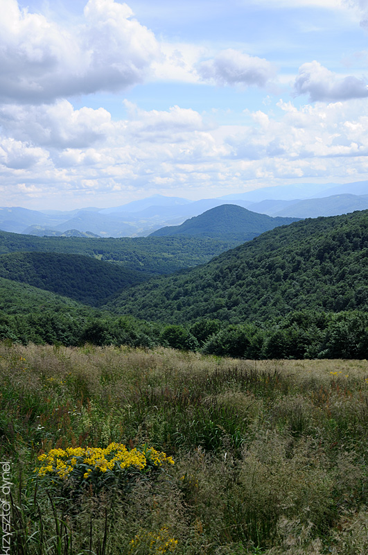 Bieszczady...