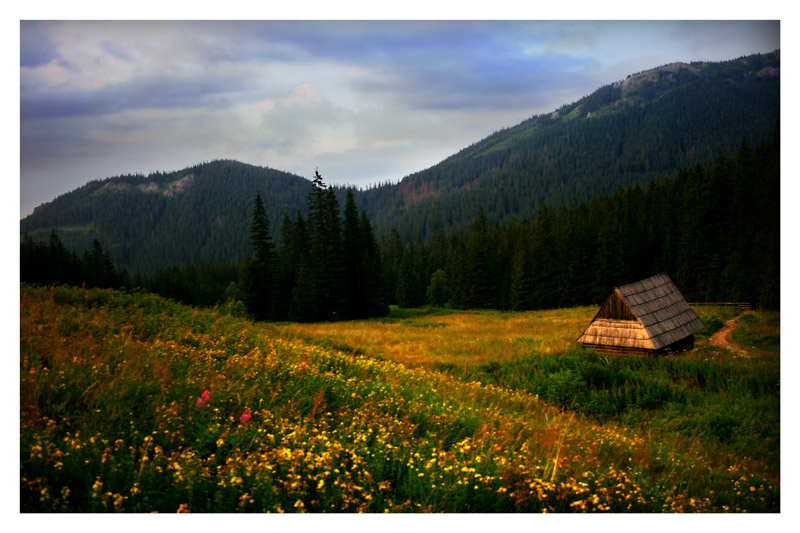 Zakopane