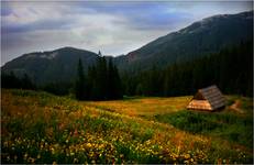 Zakopane