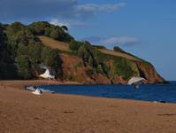 Blackpool Sands