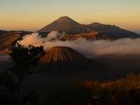 Bromo