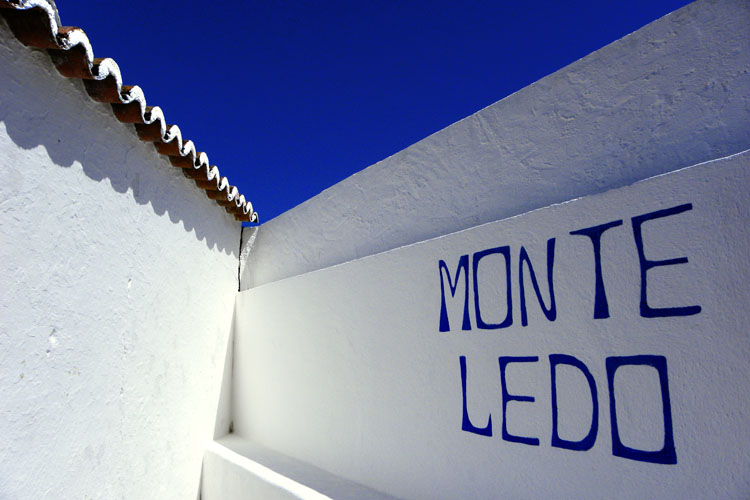 monte ledo