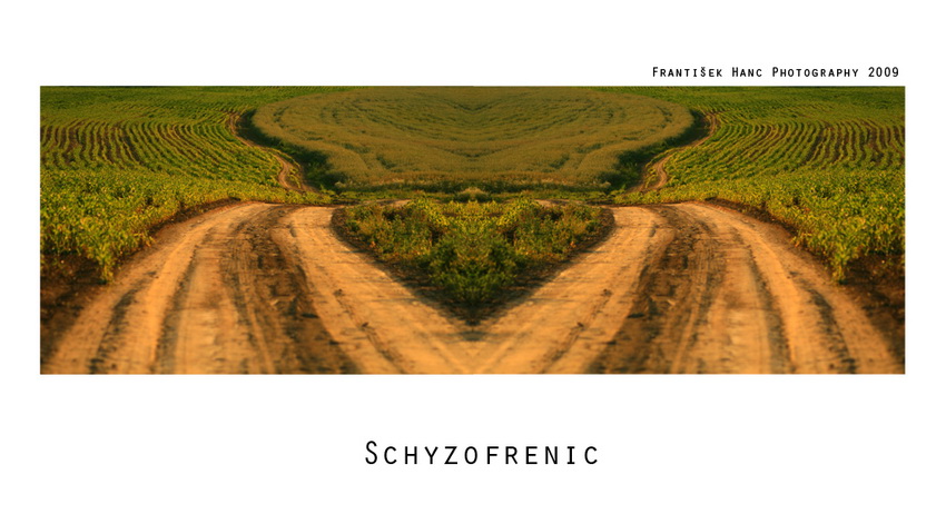 Schyzofrenic