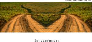 Schyzofrenic