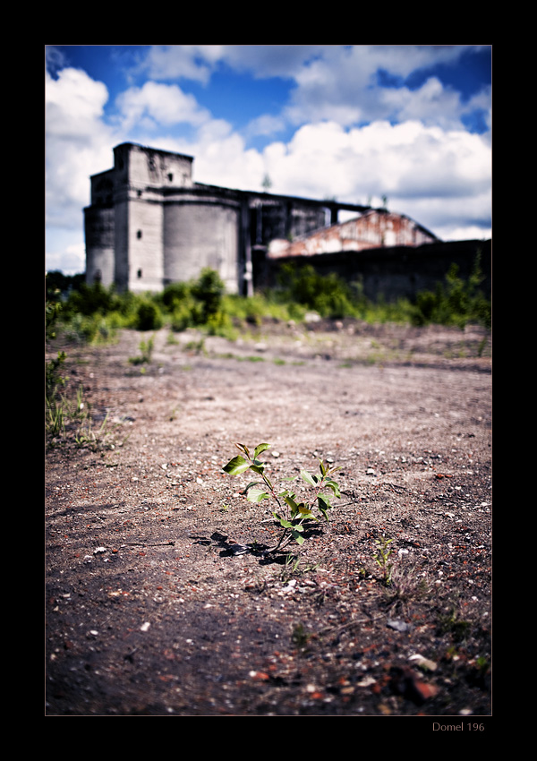 Industrial Nature