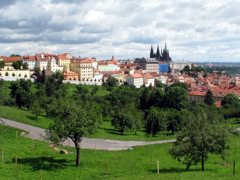 Praga