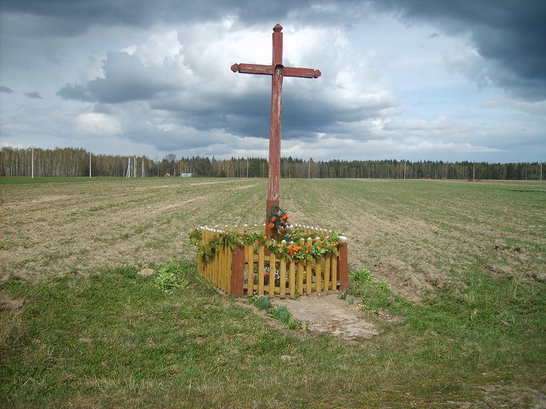 \\"tylko w polu ....... krzyż\\"