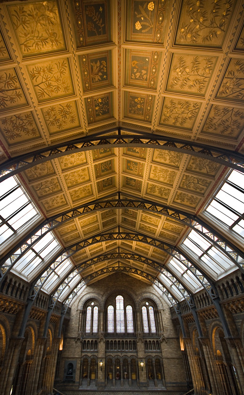 The Natural History Museum Londyn