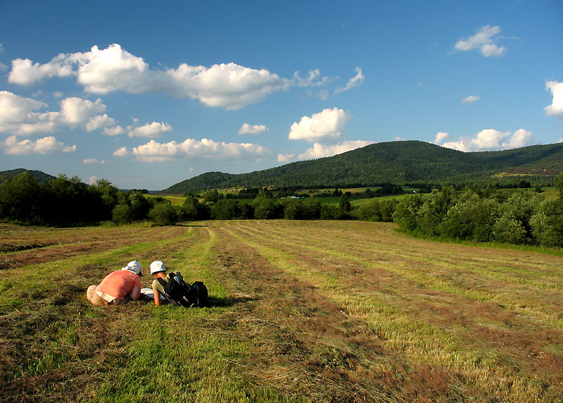 Bieszczady