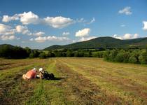 Bieszczady