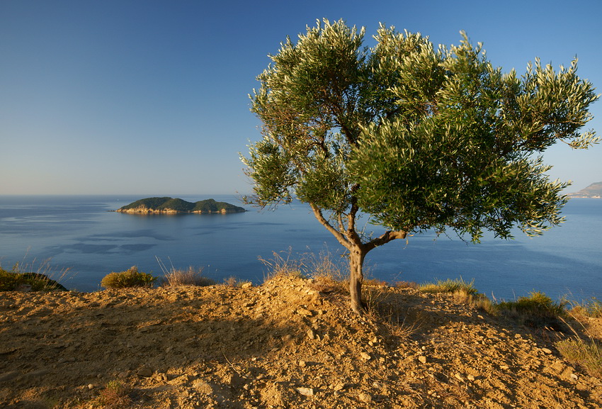 Zakinthos, Półwysek Vasilikos