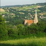 Grybów