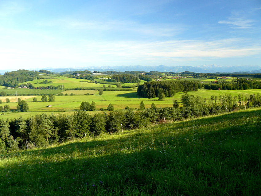 Zwidokiem na Alpy/Baden Wuerrtemberg/