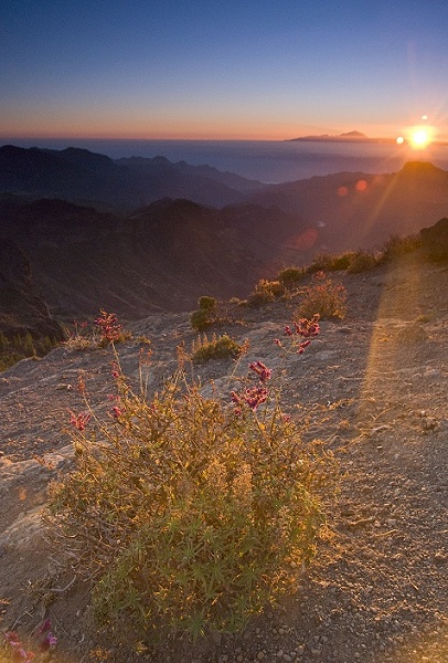 Po prostu na Roque Nublo...