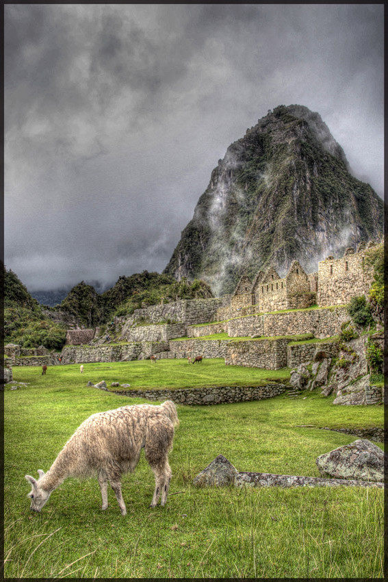 Machu Picchu