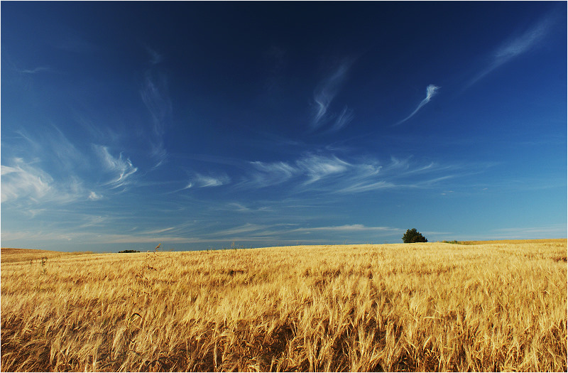 Sierpień