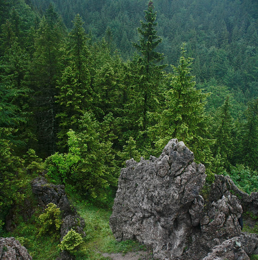 tatry