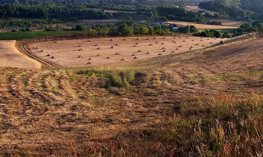 lato na Kaszubach